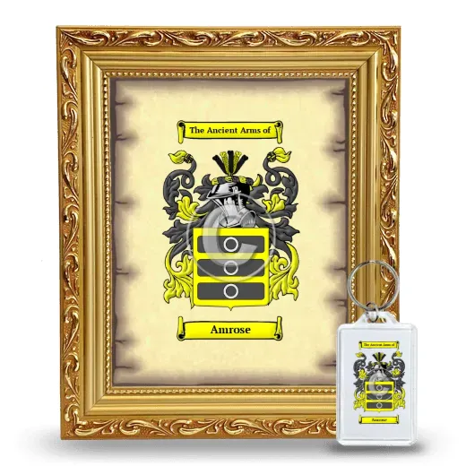 Amrose Framed Coat of Arms and Keychain - Gold