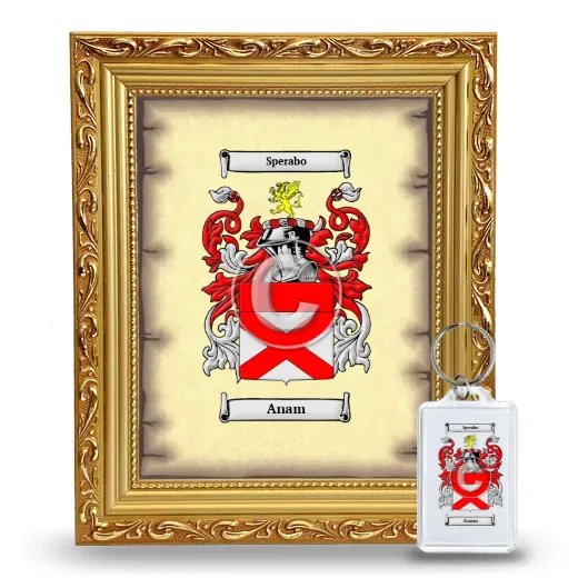Anam Framed Coat of Arms and Keychain - Gold