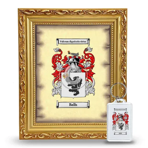 Balls Framed Coat of Arms and Keychain - Gold