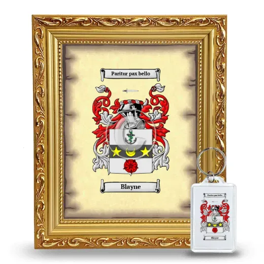 Blayne Framed Coat of Arms and Keychain - Gold