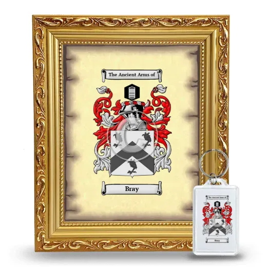 Bray Framed Coat of Arms and Keychain - Gold