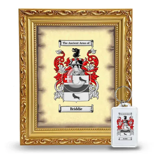 Briddie Framed Coat of Arms and Keychain - Gold