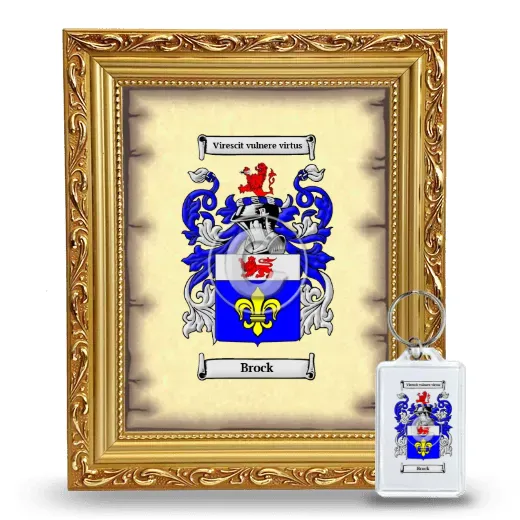 Brock Framed Coat of Arms and Keychain - Gold