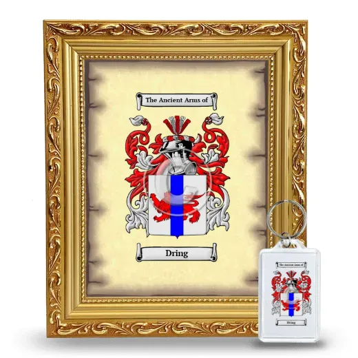 Dring Framed Coat of Arms and Keychain - Gold