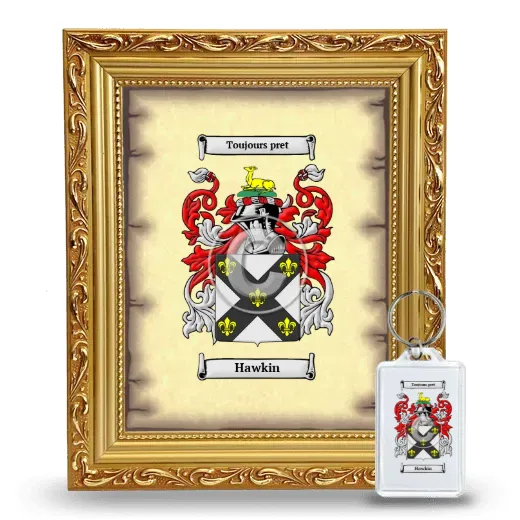 Hawkin Framed Coat of Arms and Keychain - Gold