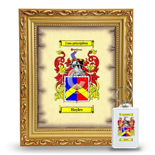 Hayles Framed Coat of Arms and Keychain - Gold