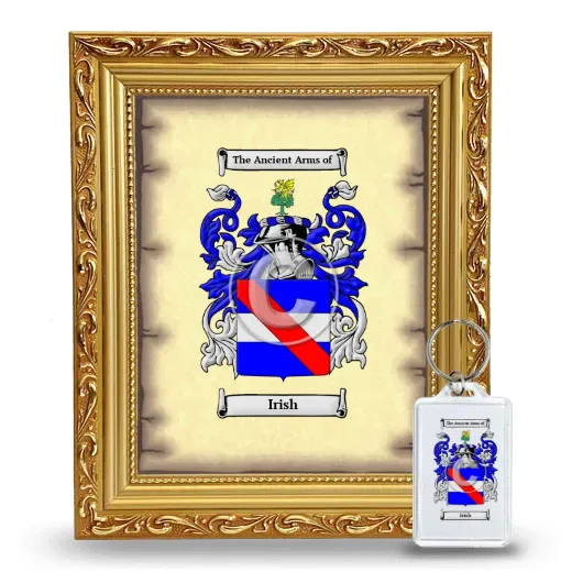 Irish Framed Coat of Arms and Keychain - Gold