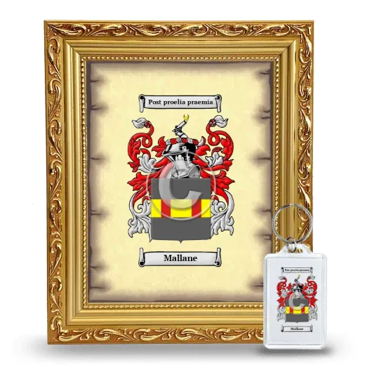 Mallane Framed Coat of Arms and Keychain - Gold