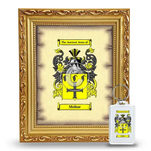 Moline Framed Coat of Arms and Keychain - Gold