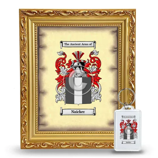 Naicker Framed Coat of Arms and Keychain - Gold