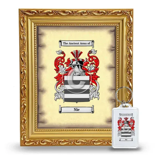 Nie Framed Coat of Arms and Keychain - Gold