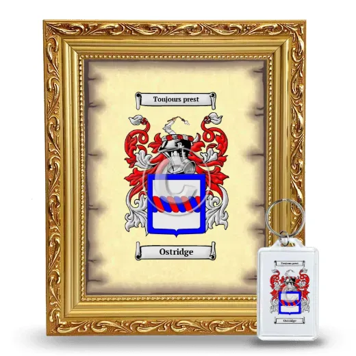 Ostridge Framed Coat of Arms and Keychain - Gold