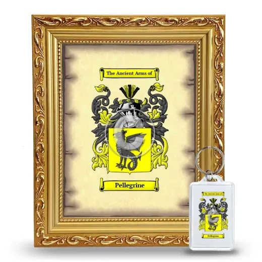 Pellegrine Framed Coat of Arms and Keychain - Gold