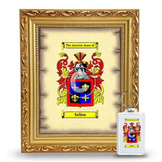 Salina Framed Coat of Arms and Keychain - Gold