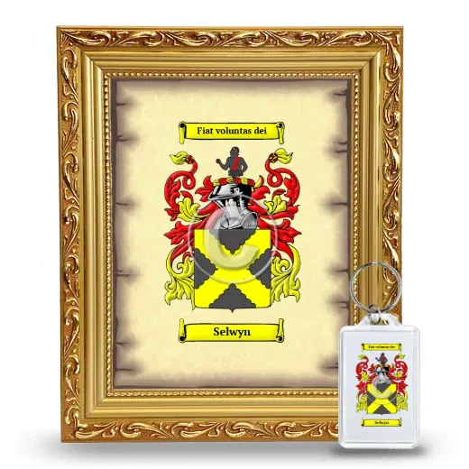 Selwyn Framed Coat of Arms and Keychain - Gold