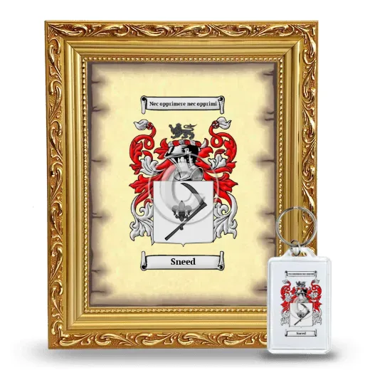 Sneed Framed Coat of Arms and Keychain - Gold