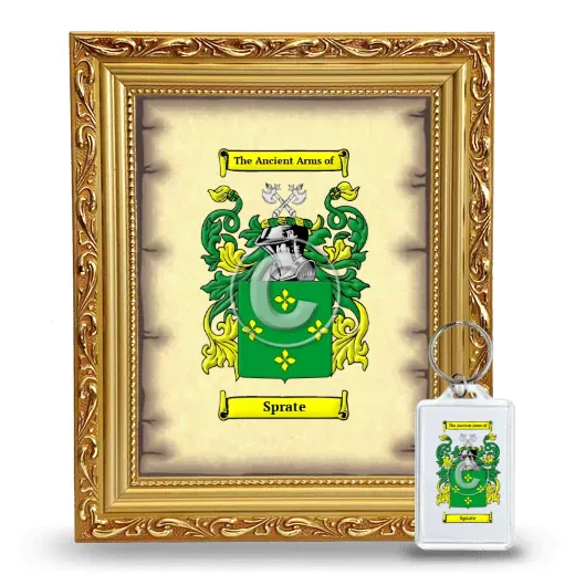 Sprate Framed Coat of Arms and Keychain - Gold