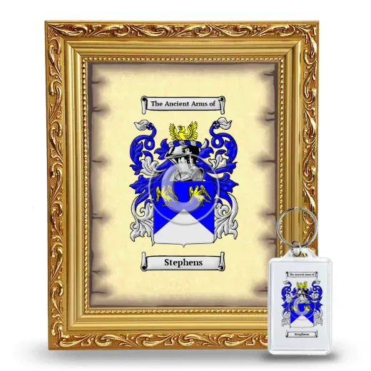 Stephens Framed Coat of Arms and Keychain - Gold