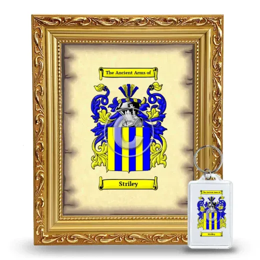 Striley Framed Coat of Arms and Keychain - Gold