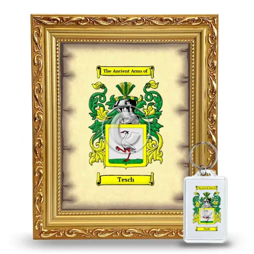 Tesch Framed Coat of Arms and Keychain - Gold