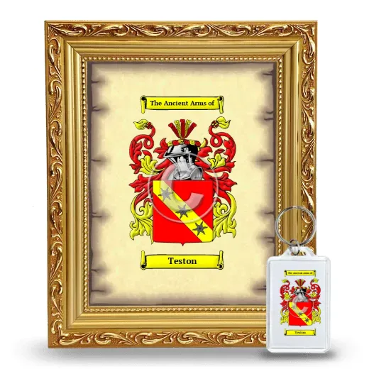 Teston Framed Coat of Arms and Keychain - Gold