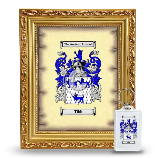 Tibb Framed Coat of Arms and Keychain - Gold
