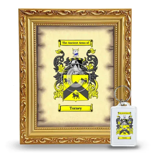 Torney Framed Coat of Arms and Keychain - Gold