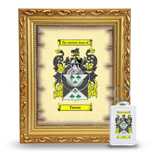 Treese Framed Coat of Arms and Keychain - Gold
