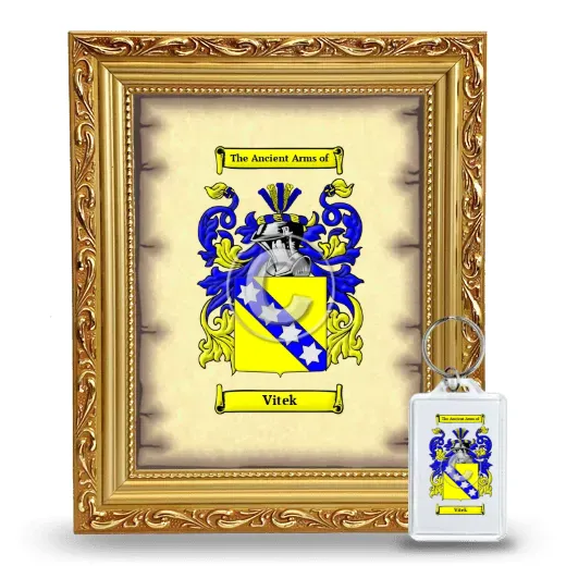 Vitek Framed Coat of Arms and Keychain - Gold