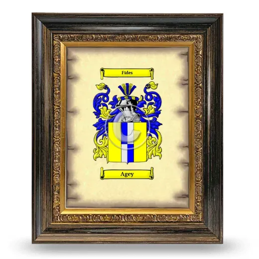 Agey Coat of Arms Framed - Heirloom