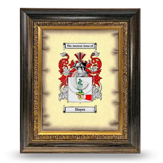 Hayes Coat of Arms Framed - Heirloom