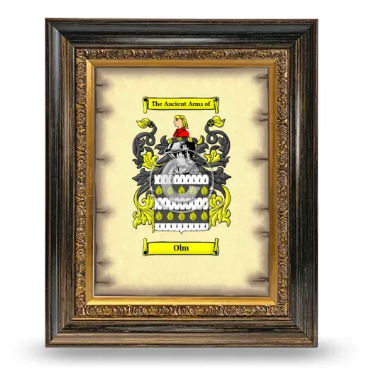 Olm Coat of Arms Framed - Heirloom
