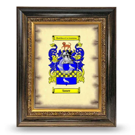 Sauer Coat of Arms Framed - Heirloom