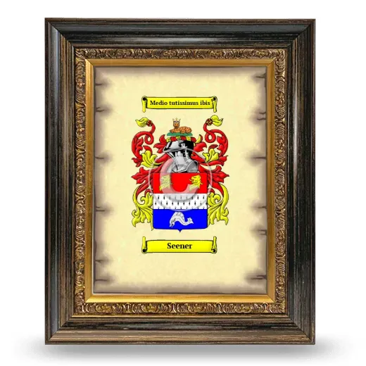 Seener Coat of Arms Framed - Heirloom