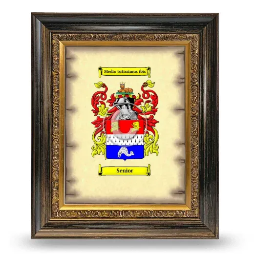 Senior Coat of Arms Framed - Heirloom