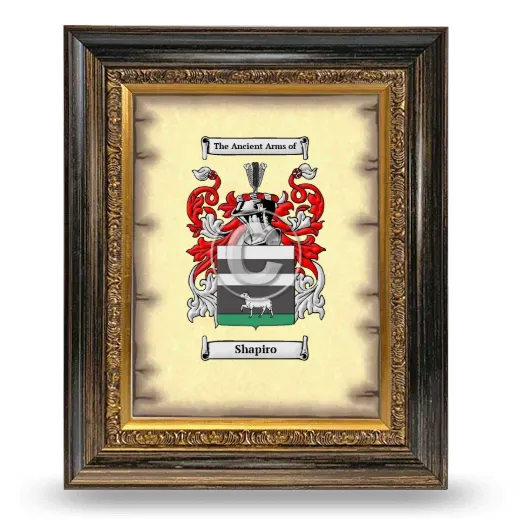 Shapiro Coat of Arms Framed - Heirloom