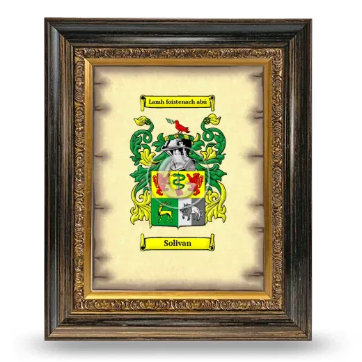 Solivan Coat of Arms Framed - Heirloom