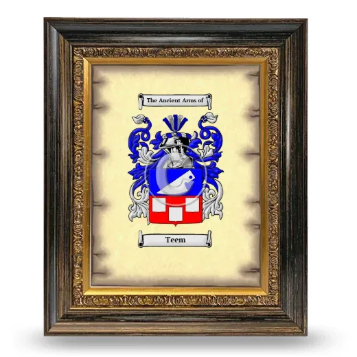 Teem Coat of Arms Framed - Heirloom