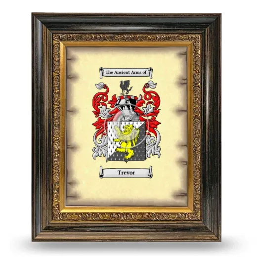 Trevor Coat of Arms Framed - Heirloom