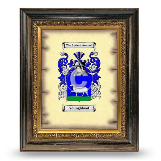 Youngblood Coat of Arms Framed - Heirloom