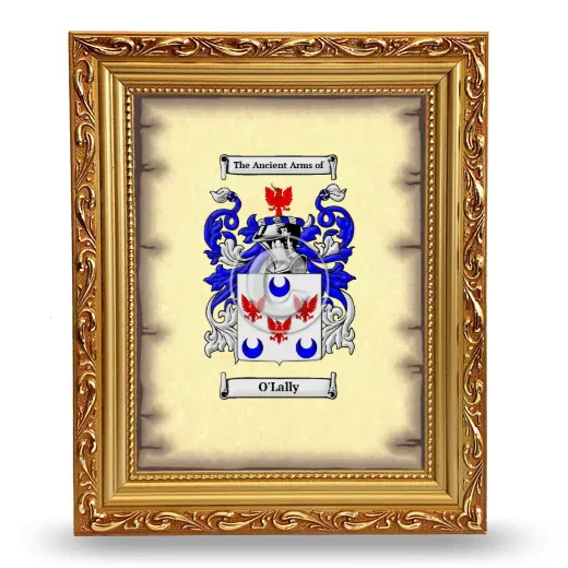 O'Lally Coat of Arms Framed - Gold