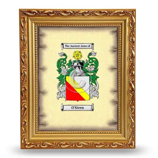 O'Steen Coat of Arms Framed - Gold