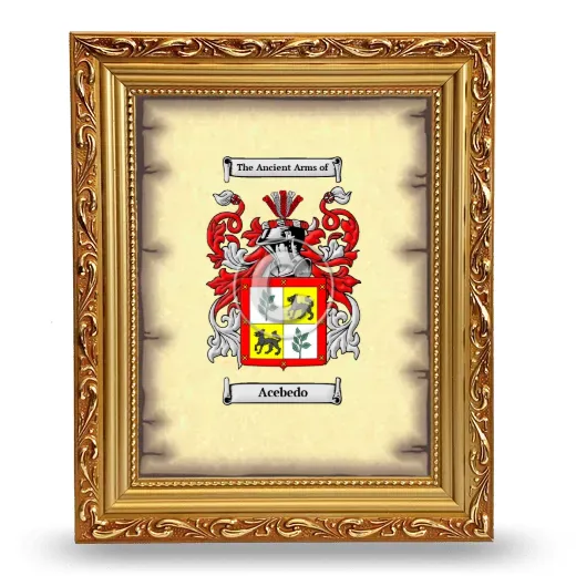 Acebedo Coat of Arms Framed - Gold
