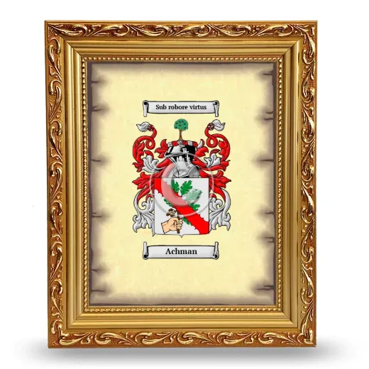 Achman Coat of Arms Framed - Gold