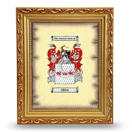 Akien Coat of Arms Framed - Gold