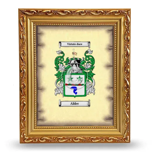 Alder Coat of Arms Framed - Gold