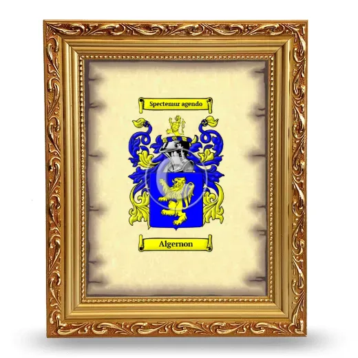 Algernon Coat of Arms Framed - Gold