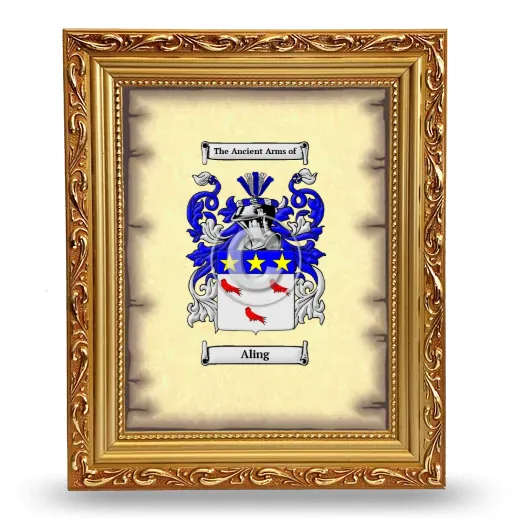 Aling Coat of Arms Framed - Gold