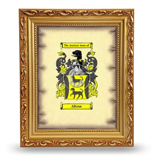 Altene Coat of Arms Framed - Gold