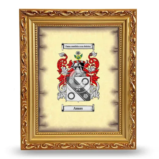Amas Coat of Arms Framed - Gold